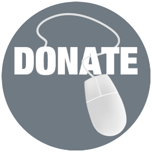 donate-icon